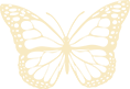 Butterfly Icon